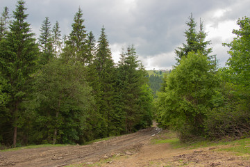 Hiking with a tent through Petros to Hoverla, Lake Nesamovite, Mount Pop Ivan Observatory.