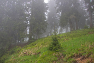 Hiking with a tent through Petros to Hoverla, Lake Nesamovite, Mount Pop Ivan Observatory.