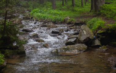 Hiking with a tent through Petros to Hoverla, Lake Nesamovite, Mount Pop Ivan Observatory.