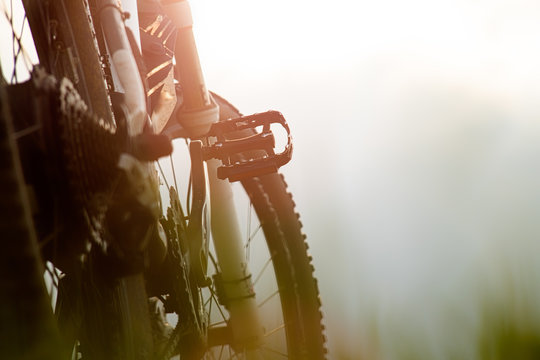 Mountain Bike Chainwheel and Pedal