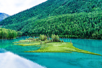 beautiful Kanas Lake Wolong Bay in summer，Altay, Xinjiang, China - obrazy, fototapety, plakaty