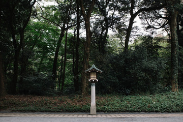 Japanese style wooden lantern With trees on background  in Meiji Shrine, Shibuya, Japan.