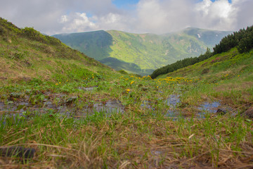 Hiking with a tent through Petros to Hoverla, Lake Nesamovite, Mount Pop Ivan Observatory.