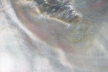 Abstract pearl background with shimmering mother of pearl nacreous mauve, lilac and blue blur colours