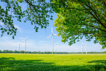 Idyllic landscape near Sassenberg in Westphalia, Germany