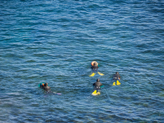 Haenyeo Women Diver Show to collect seaweed, shellfish and other seafood at Seongsan Ilchulbong,...