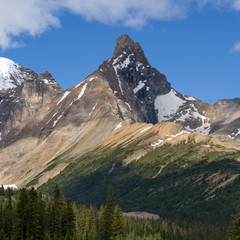 Fototapeta na wymiar Mountain peak, Icefields Parkway, Jasper, Alberta, Canada