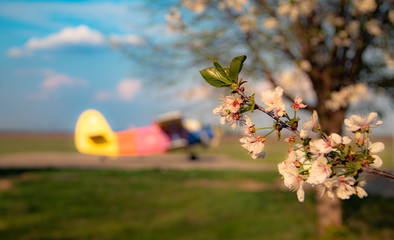 spring and airplane 