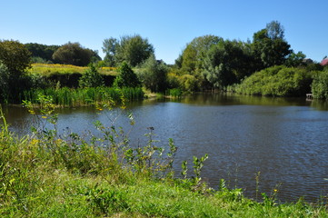 Fototapeta na wymiar Rural landscape with pond