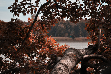 Autumn beautiful landscapes.