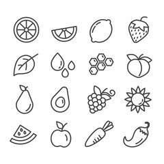 Set of fruit and vegetable, honey outline icons isolated on white background