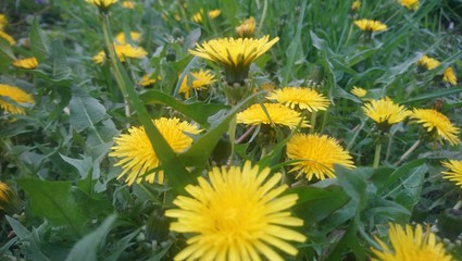 35,35,193,208.565826