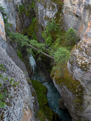 High angle view of canyon, Maligne Canyon, Jasper National Park, Jasper, Alberta, Canada