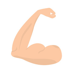 Isolated muscle arm on a white background - Vector