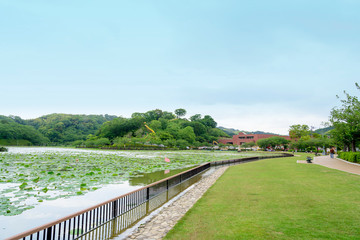 蓮花寺池公園の風景（静岡県藤枝市）