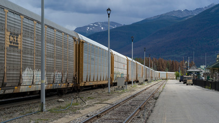 Freight train on tracks, Jasper National Park, Jasper, Alberta, Canada - 269411719