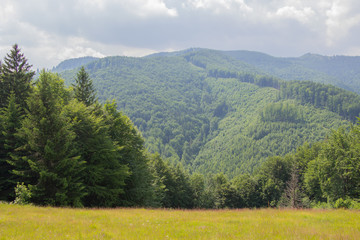 Unforgettable trek to the mountains in Gorgan, waterfalls. Rest in the Carpathians