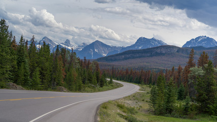 Highway with mountains in the background, Icefields Parkway, Jasper, Alberta, Canada