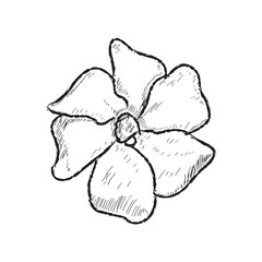 Isolated sketch of a flower on a white background - Vector