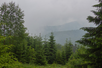 Unforgettable trek to the mountains in Gorgan, waterfalls. Rest in the Carpathians