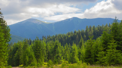Unforgettable trek to the mountains in Gorgan, waterfalls. Rest in the Carpathians
