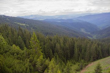 Unforgettable trek to the mountains in Gorgan, waterfalls. Rest in the Carpathians