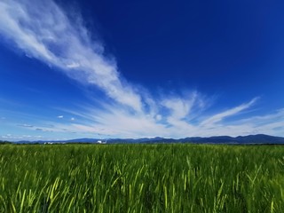 spring tour france rhine high level