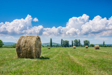 bales of hay