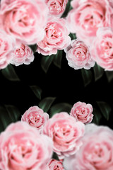  Rose Vintage Flowers for design  background