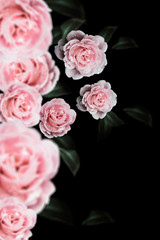Obraz na płótnie Canvas Rose Vintage Flowers for design background