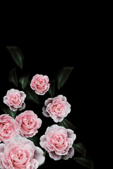  Rose Vintage Flowers for design  background