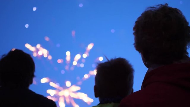 family look at the sky at the fireworks. The night sky in lights