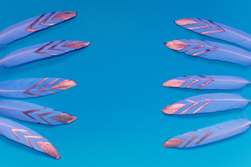 decorative feathers on blue background with copy space