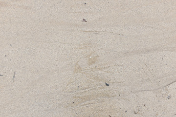 Sea sand water wave patterns