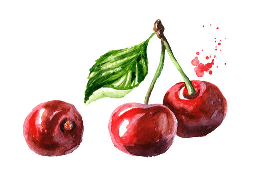 Fresh ripe red cherry. Watercolor hand drawn illustration, isolated on white background