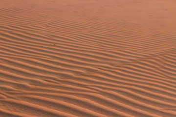 areia praia dunas verão paisagem