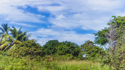 Falésias de Beberibe