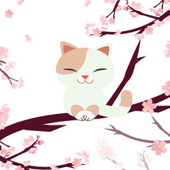 Hanami Festival. cherry blossom festival. festival in Japan. Relaxing cat. Cat sitting on the sakura branch and  sakura tree background.Happy cat smiling. cute flat vector style