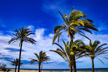 Fototapeta premium Playa de Gandia