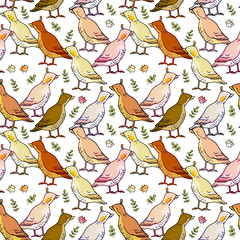 Seamless pattern with a bird. Farm ducks.