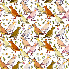 Seamless pattern with a bird. Farm ducks.