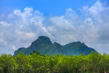 The mountain landscapes are between the forest line in front and clouds and blue sky background