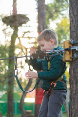 Little boy in a rope park. Active physical recreation of the child in the fresh air in the park. Training for children.