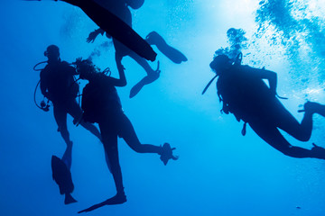 Scuba divers underwater, Tarpon Cayes, Belize Barrier Reef, Lighthouse Reef, Belize