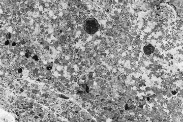 Vintage monochrome background. Rough painted wall of black and white color. Imperfect plane of grayscale. Uneven old decorative backdrop. Texture of black-white. Monochromatic ornamental stony surface