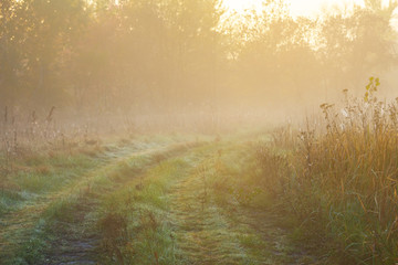 beautiful quiet sunrise among the summer prairie in a mist