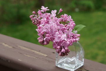 A still life of fragrant purple Lilacs in a vase.