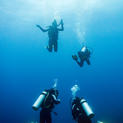 Scuba divers underwater, Belize Barrier Reef, Belize