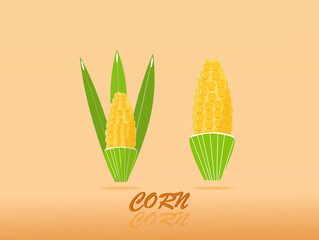 High quality design sweet golden of corn with colorful beauty. vector illustration sign.