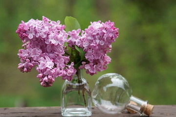 A still life of fragrant purple Lilacs in a vase.